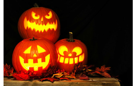 Séance de Baby Basket le 9 novembre spéciale Halloween de 10h à 11h